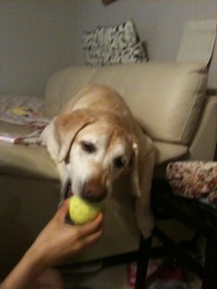 let me play