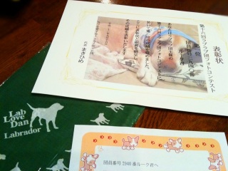lab love dan 񂩂I