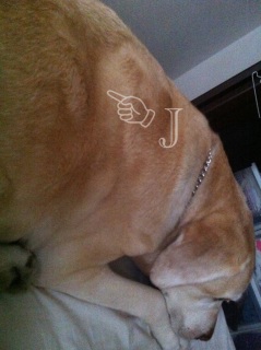 J[N