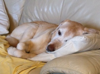 zzz
